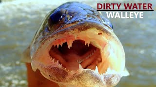 Locating and Catching Big Colorado Walleye