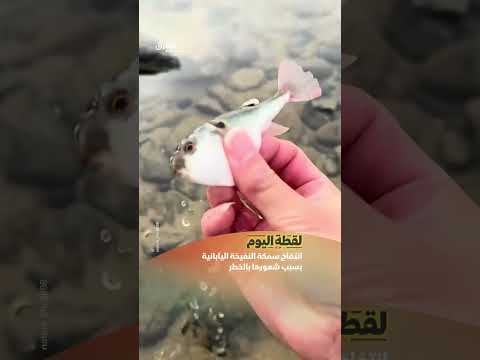 سمّها قادر على قتل إنسان