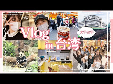 中国語学科 授業紹介
