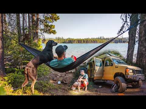 Van Life - I Needed Somewhere Better
