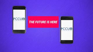 Pennine Community Credit Union Nivo app screenshot 2