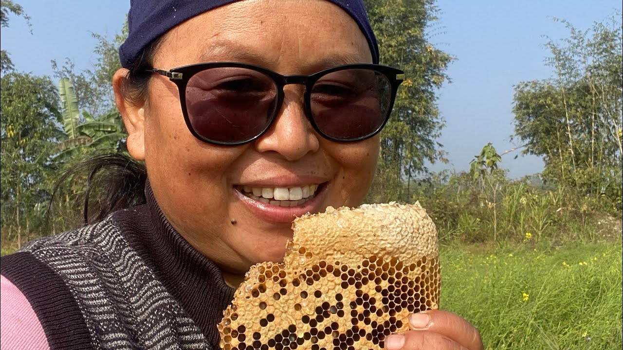 Amamaamamama local mauriko maha nikalne tarika | local honey bee churururu maha 
