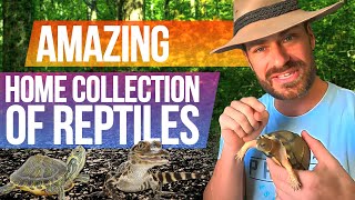 The BEST Reptile COLLECTION I’ve Ever Seen!