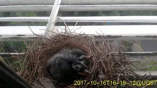 20171016T1600~1630