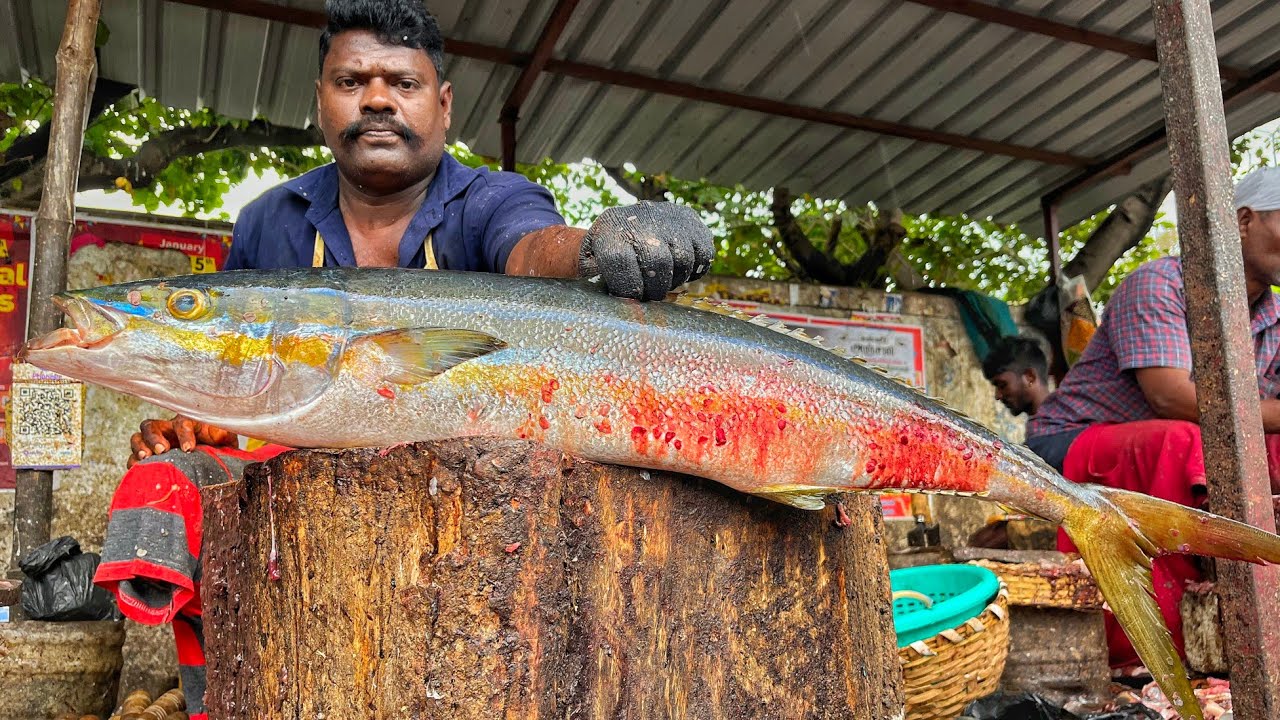 KASIMEDU🔥 SPEED SELVAM | HUGE RAINBOW RUNNER FISH CUTTING VIDEO | 4K VIDEO | KM FISH CUTTING