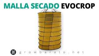 Mallas Para Secado Evo Crop Growbarato - Gb The Green Brand