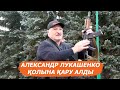 «Нағыз оңбағандық!» Арман Шораев қолына қару алған Лукашкенконың әрекетін сынға алды!