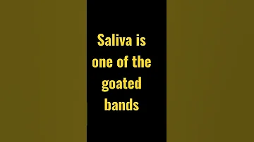 Saliva is one of the goated bands