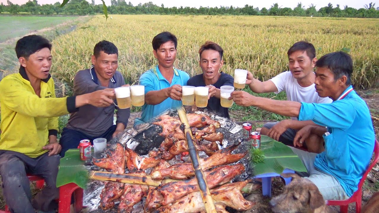 Bắt chuột nướng tươi bên cánh đồng lúa chín - cdmt 877