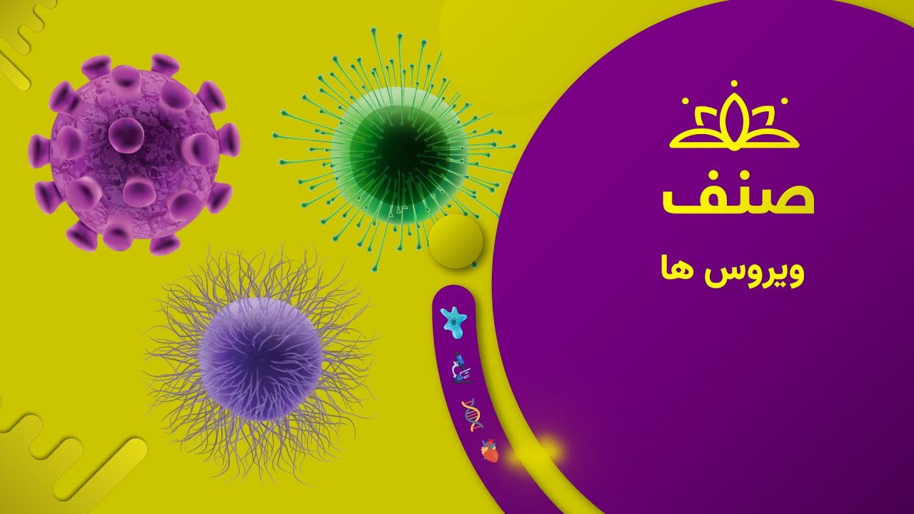 صنف - بیولوژی صنف هشتم- درس ۳: ویروس ها