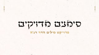 סימנים מדויקים (פרויקט מילים)