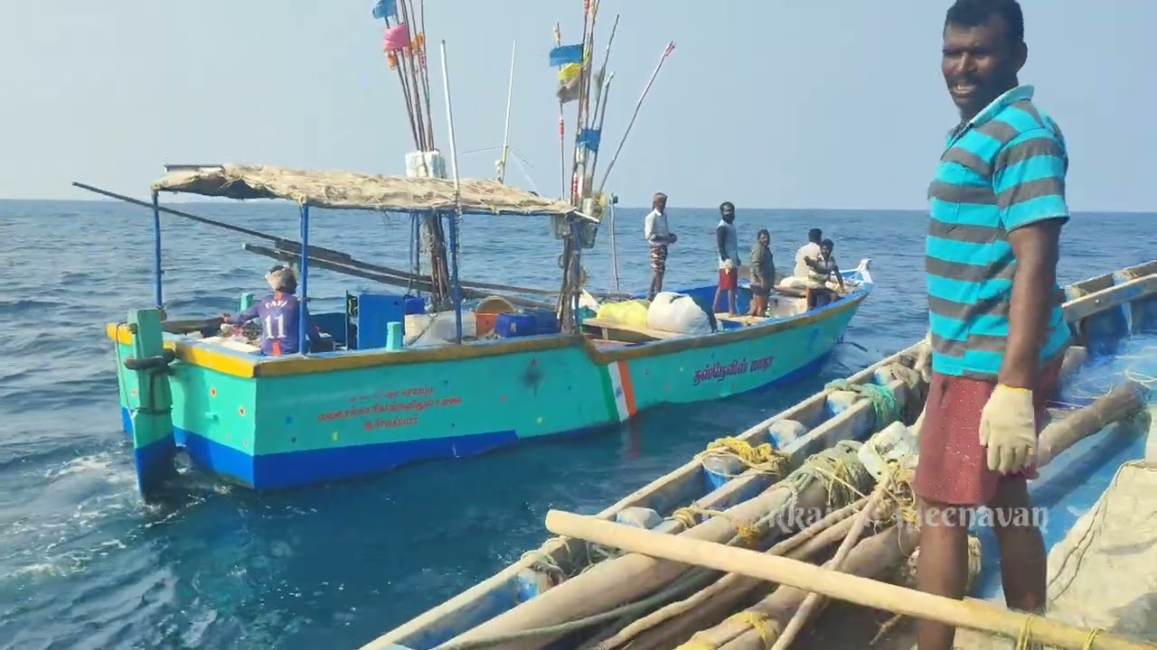 கடல் மேல் நம் அருகில் வந்த படகு பெரிய களவா மீன் - mookkaiyur meenavan
