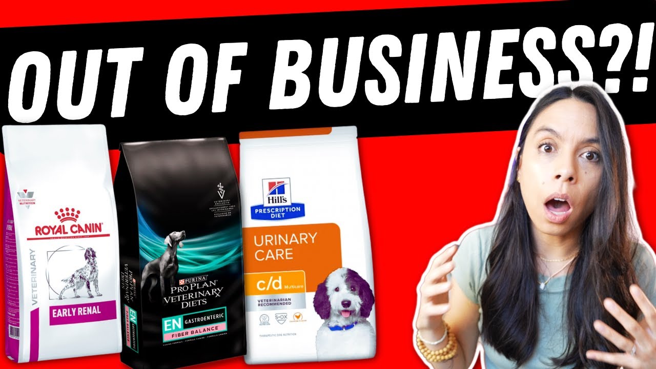 Feeding Prescription Pet Food? 🧐 PLEASE WATCH! Vet's *New