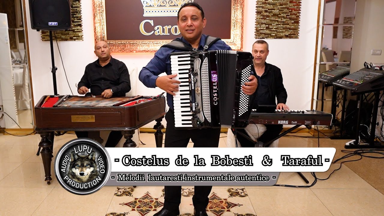 Costelus de la Bobesti - Hora si sarba lui Faramita