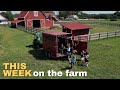 9/21/2023 - This Week on the Farm - (moving turkeys, cabin, homemade pasta &amp; more)