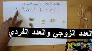 العدد الزوجي والعدد الفردي