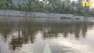 Lagu Minang Takucak Wawa Naela  Lagu Minang Terbaru 2024  Album