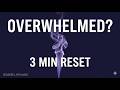 Feeling Overwhelmed? 3 Minutes of Calm to Reset Your Brain - Zensere Lofi Music