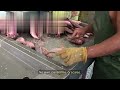 Ichthyology# fish Biology