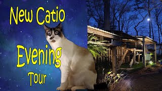 Moonlit Whiskers: Unveiling the Nocturnal Mystique of a CATIO Home 🌙 by Our Catio Home 627 views 11 months ago 2 minutes, 5 seconds