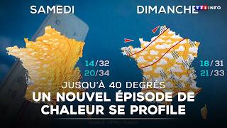 | TF1 NEWS
