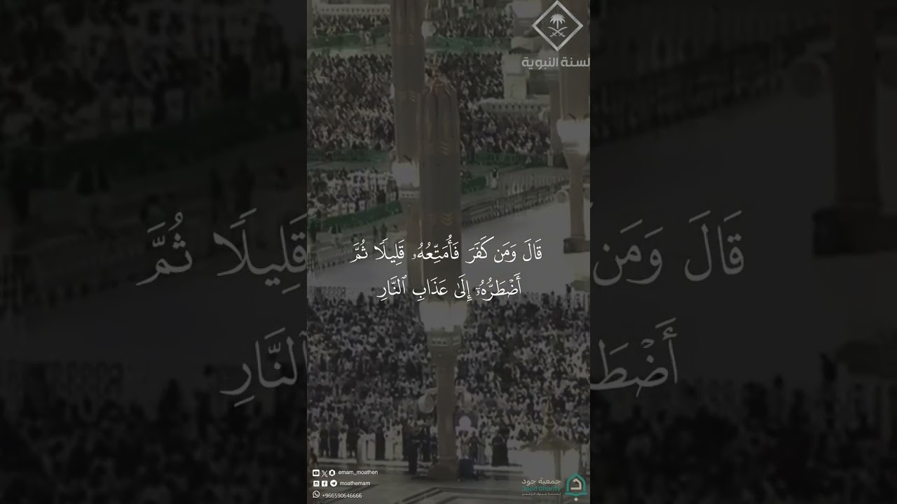 مقتطف من تلاوة فضيلة الشيخ #عبدالله_القرافي من صلاة المغرب 17 ربيع الآخر 1448هـ#المسجد_النبوي