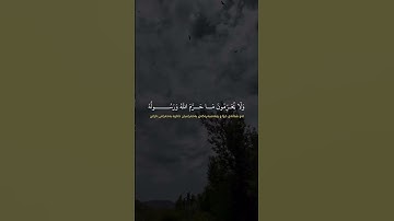 القارئ ابوبكر الشاطري #سورة_التوبة