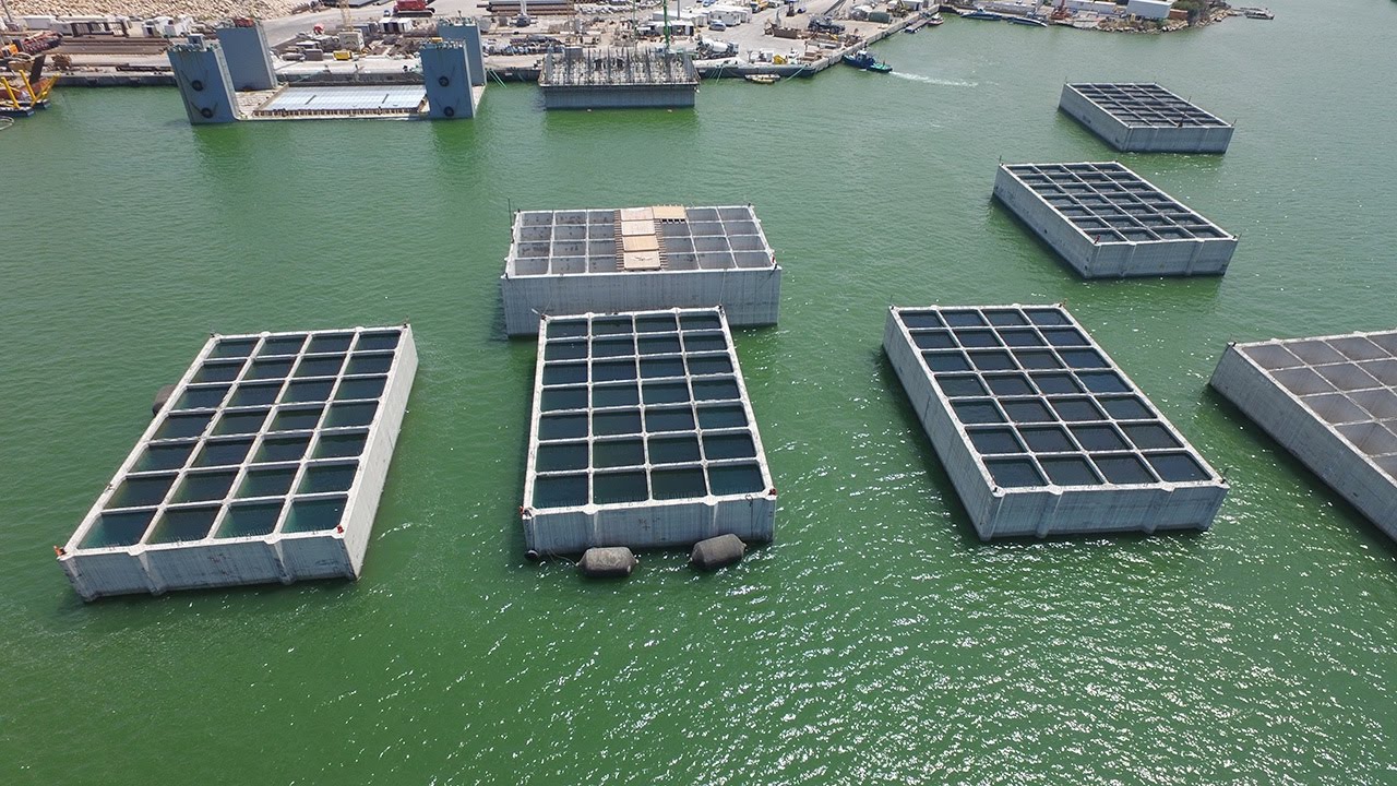 הקמת נמל המפרץ