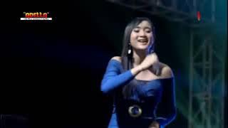 Yeni inka   Dalan Liyane, Live OM ADELLA