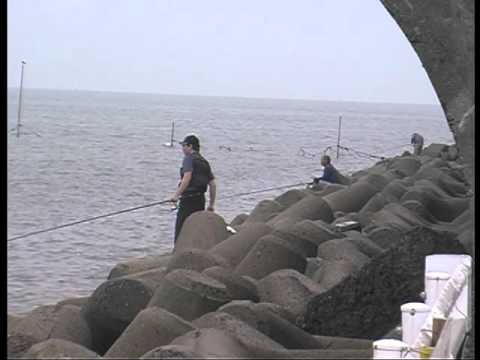 動画 福岡県の釣り場を紹介part2 うなぎの背中 動画 福岡県の釣り場を紹介part2 うなぎの背中