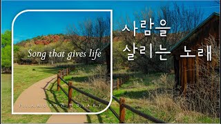 사람을 살리는노래 | Songs that gives life  | 묵상찬양 | 피아노연주 | CCM Piano | Worship