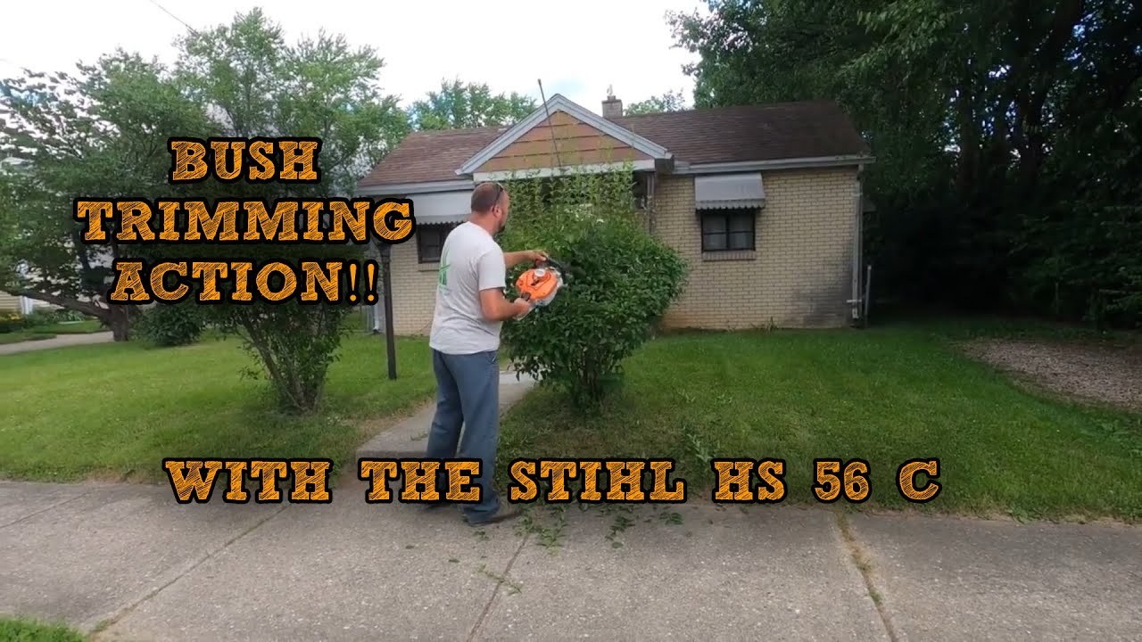OVERGROWN BUSHES GETTING BACK IN SHAPE WITH STIHL HS 56 C