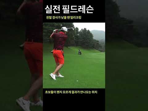 <strong>백돌이</strong> 일수록 제일 못치는 샷 #shorts