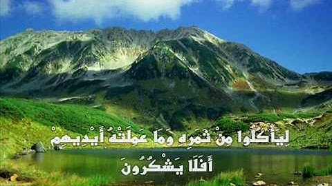 لأول مره سورة يس "ترتيل" بصوت الشيخ محمد عبد الرؤوف السوهاجي Mohamed Elsohagye