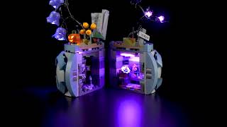 Briksmax 2.0 Light Kit For Lego Sallys Flowerpot 43288