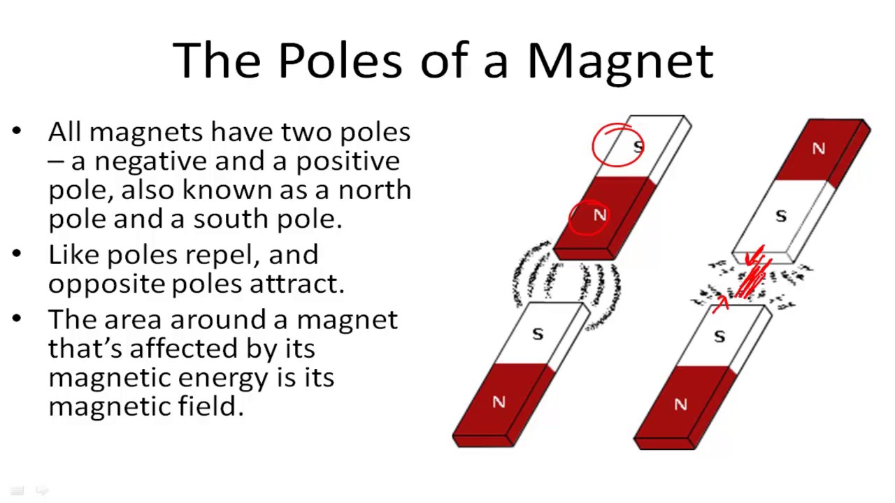 Poles of Magnet - YouTube