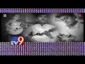 DSP's musical tribute to Mandolin Srinivas