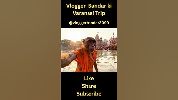 Varanasi Trip | Ai Monkey | Vlogger Bandar | #viralmonkey  #funny #teetubandar#comedy #monkeyvlogger
