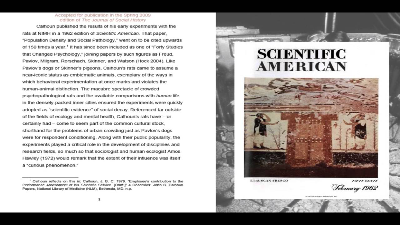 The Behavioral Sink: Introduction