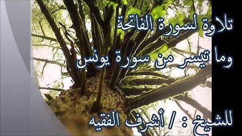 تلاوة لسورة الفاتحة وما تيسر من سورة يونس