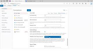 Database Connection and Query Objects
