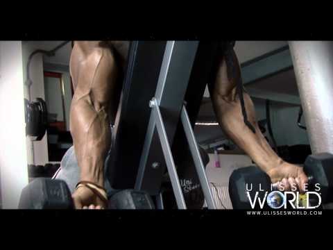 Ulisses Trains Arms Biceps and Triceps