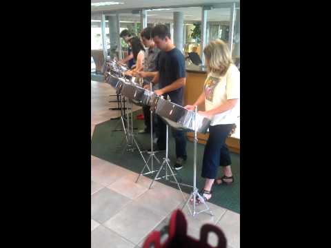Mumford and Sons - Little Lion Man (Steel Drums)