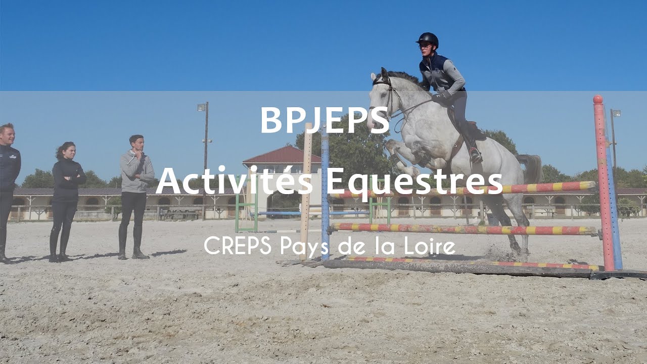 Dossier Pédagogique Bpjeps Equitation Page De Garde