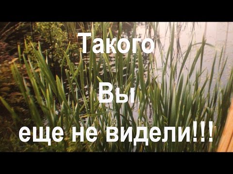 забор +из профнастила Новинка 2017!