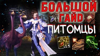 ВСЕ О ПИТОМЦАХ - гайд по петам lineage 2 project eva essence