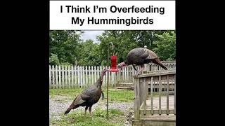 😆Funny Memes, Puns & Jokes 😆 Episode 440 😆 TRY NOT TO LAUGH 😆 BIG Compilation 😆Best On the Internet!