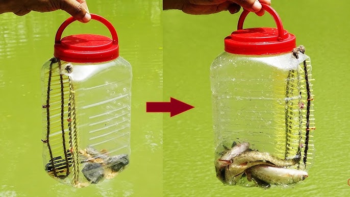 How to make fishing trap to catch Frogs 
