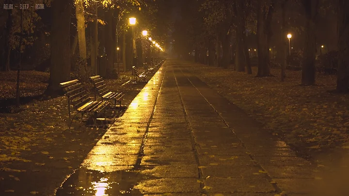 Quiet Night in the Park with Relaxing Sounds of Rain Falling Down the Empty Alleys, Puddles & Leaves - DayDayNews
