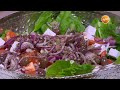 سلطة يوناني مروة مهنى